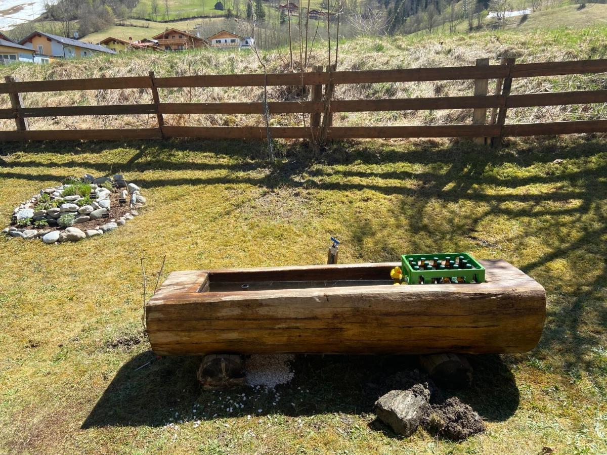 Pension Mitterwallner Schladming Exteriör bild
